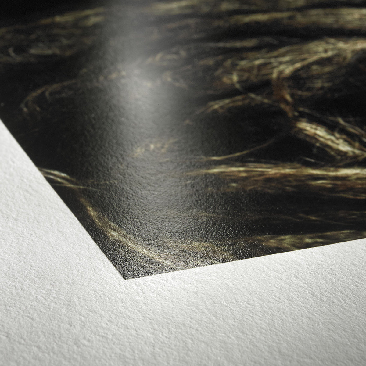 Hahnemühle Photo RAG Baryta 315g